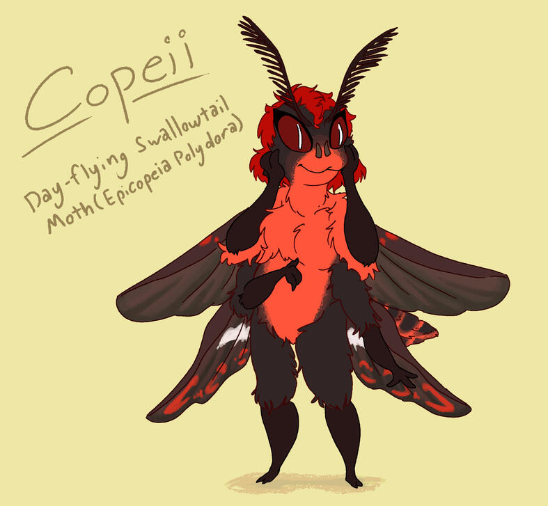 A drawing of a black anthropomorphic moth with a sassy expression. His name is labelled as Copeii.