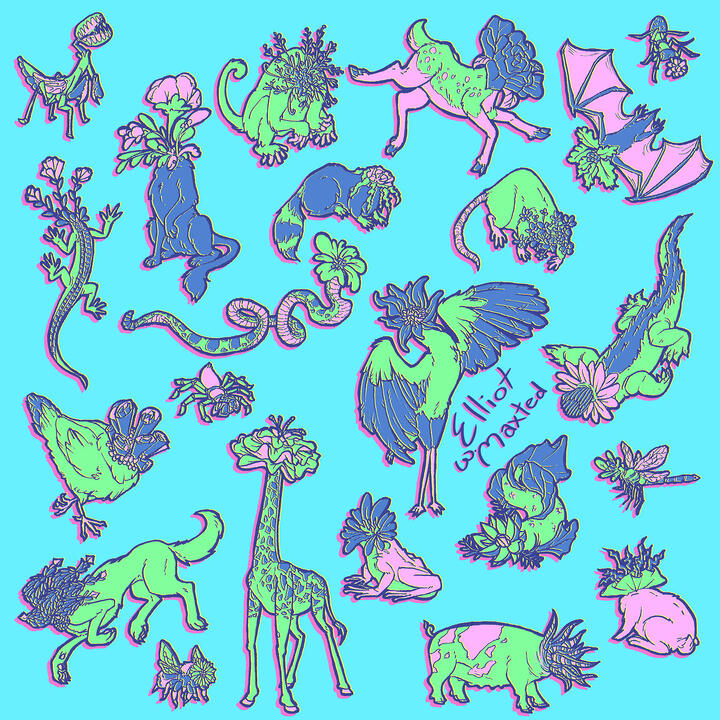 A strange collection of drawings of animals with plants for heads. They are colorful and on a bright blue background.