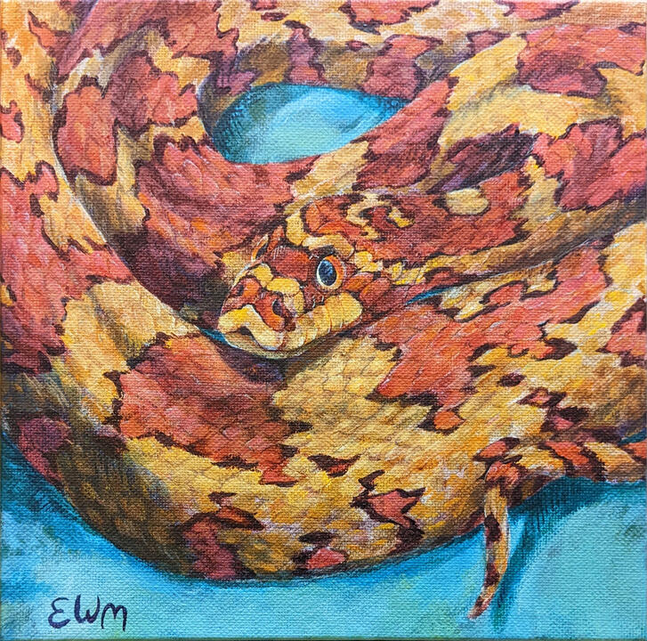 An acrylic painting of a corn snake. It is cute and brightly coloured.