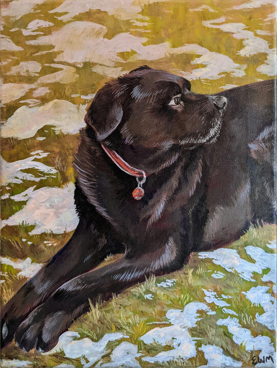 An acrylic painting of a large black dog laying down and looking to the right. He is on a grassy lawn with a bit of snow.